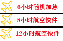 静巴空运代理快递公司,专业空运当天件